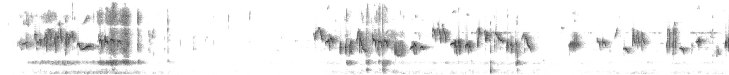 Steinbraunelle (ocularis) - ML396100241