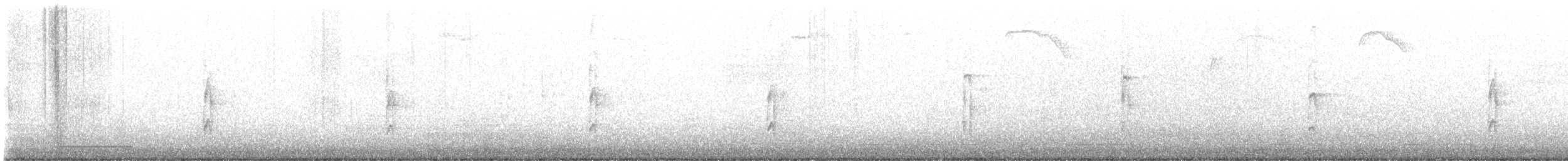 Haarspecht [villosus-Gruppe] - ML396142491