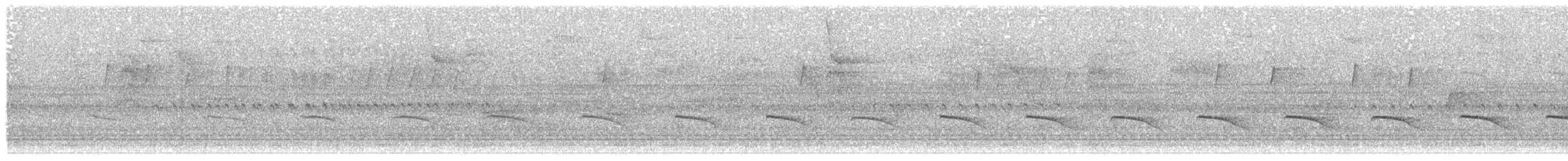 lenivka větší (ssp. striata) - ML396211771