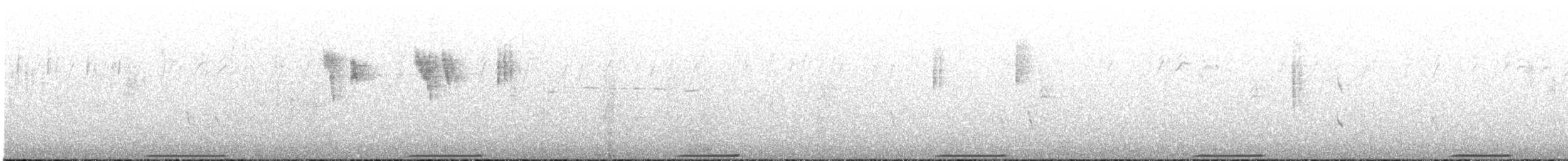 holub pestrokřídlý - ML396338841