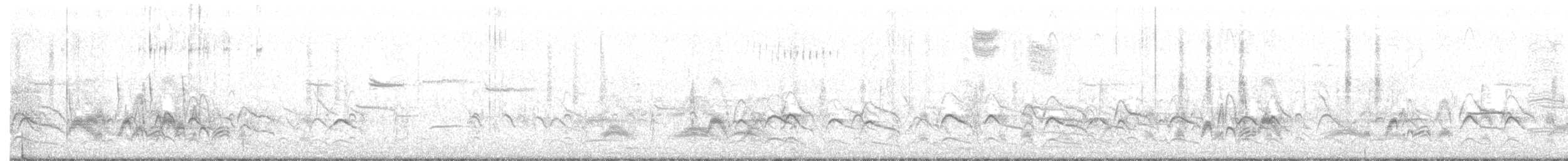 Cassin's Kingbird - ML396368681