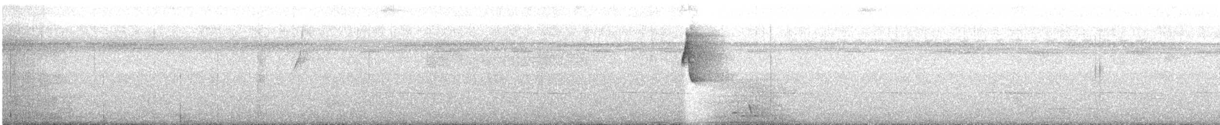 Светлобрюхий колибри-отшельник - ML396506731