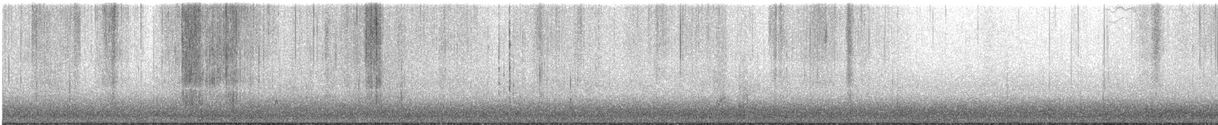 Ash-throated Flycatcher - ML396666751