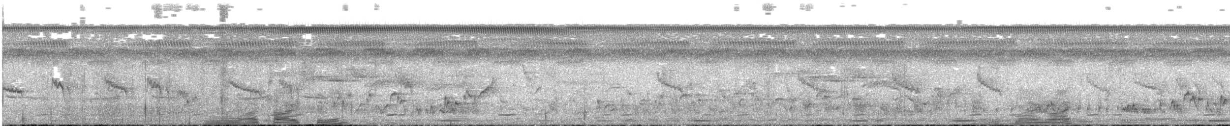 Northern Yellow White-eye - ML396670441