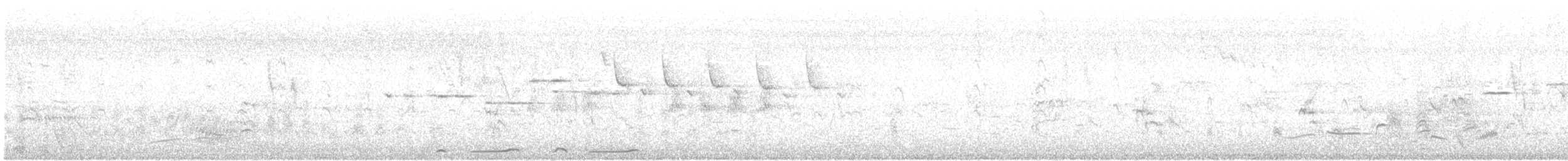 Bar-shouldered Dove - ML396704021