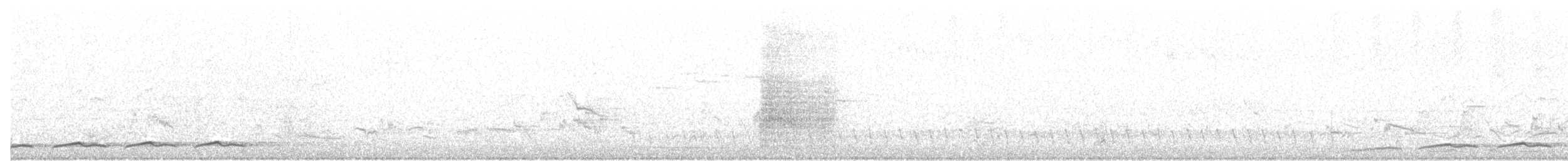 Pacific Koel - ML396704091