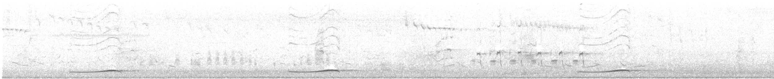 Pacific Koel - ML396704141