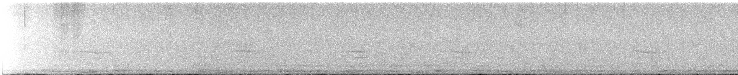Cygne siffleur (columbianus) - ML396715161