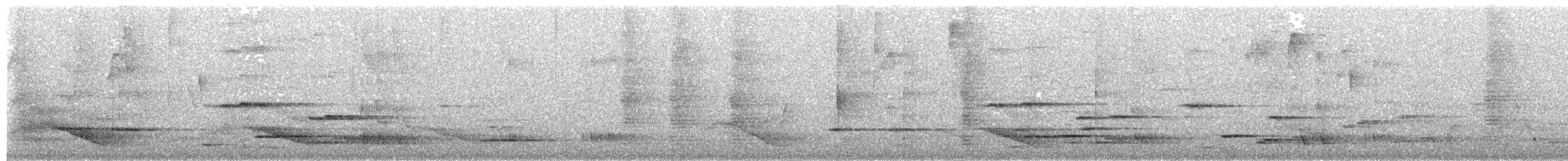 Méliphage carillonneur - ML396762401