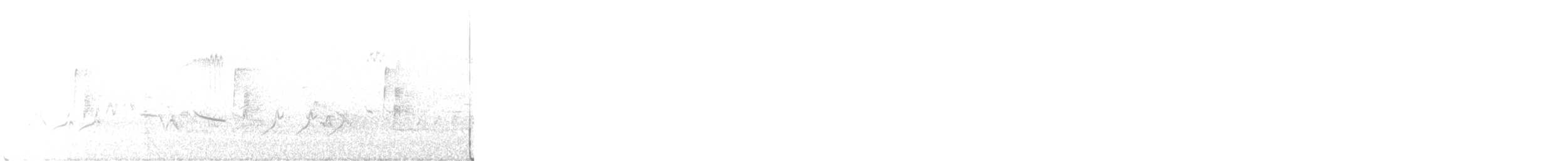 Least Flycatcher - ML396774951