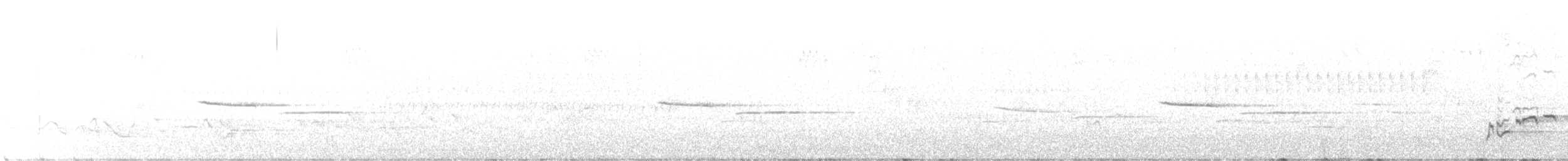 Brown Thrasher - ML396774981