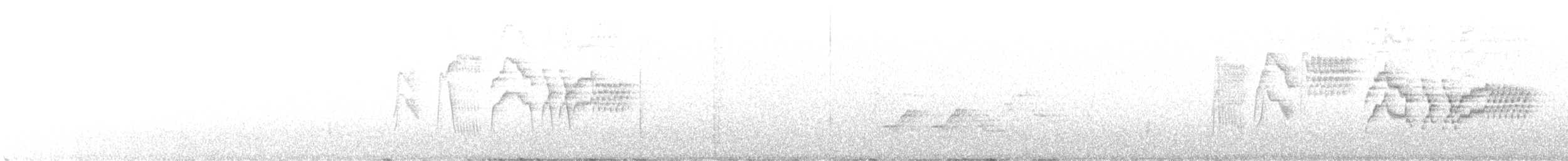 Bicknell's Thrush - ML396775601