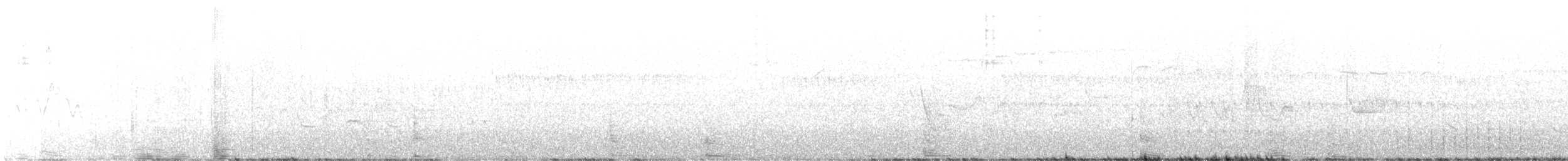 Black-backed Woodpecker - ML396775791