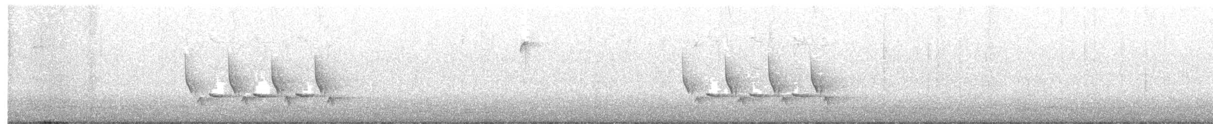 Поплітник каролінський - ML396819151