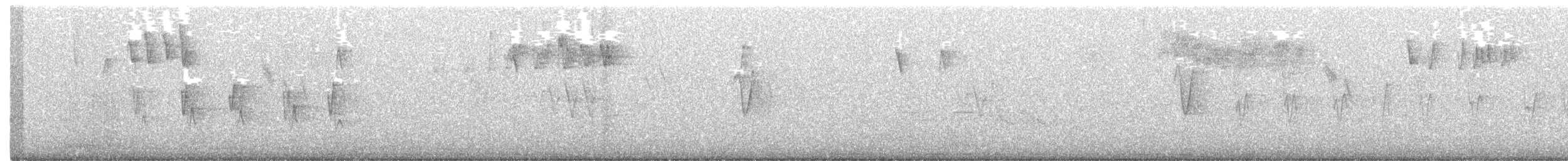 キクイタダキ（teneriffae） - ML396823091