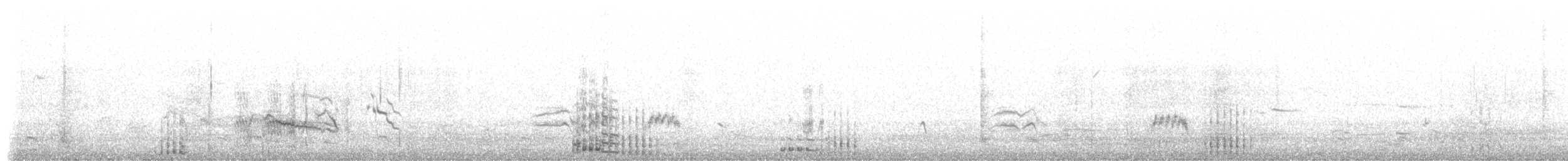 jeřáb kanadský (ssp. tabida/rowani) - ML396956671