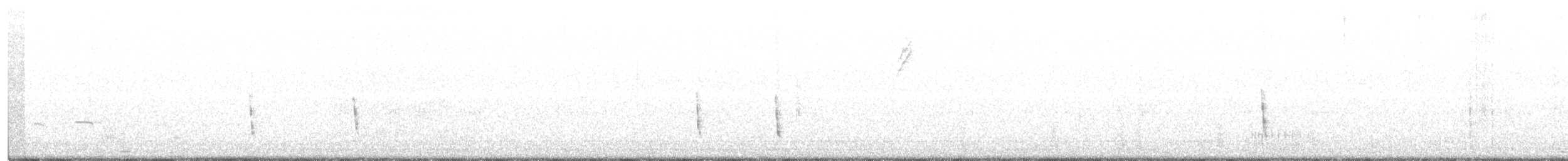 Hermit Thrush (guttatus Group) - ML396969821