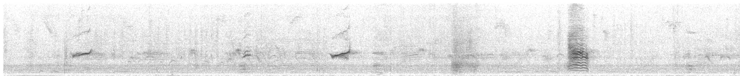 Oriole cul-noir - ML396984871