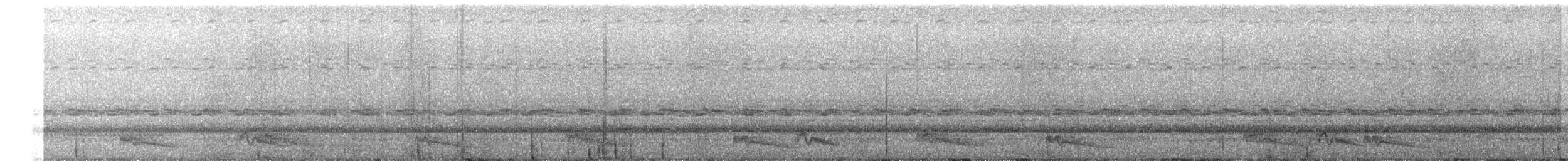 Ohrennachtschwalbe - ML397010281