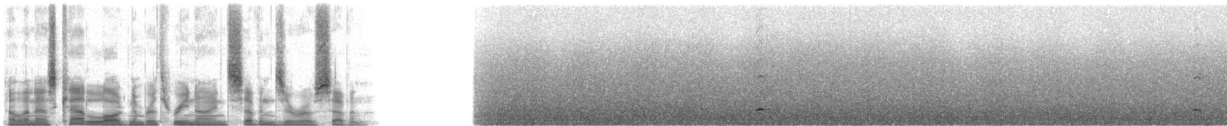 Andean Ibis - ML39707