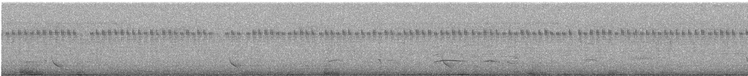 Chotacabras Hindú - ML397096841