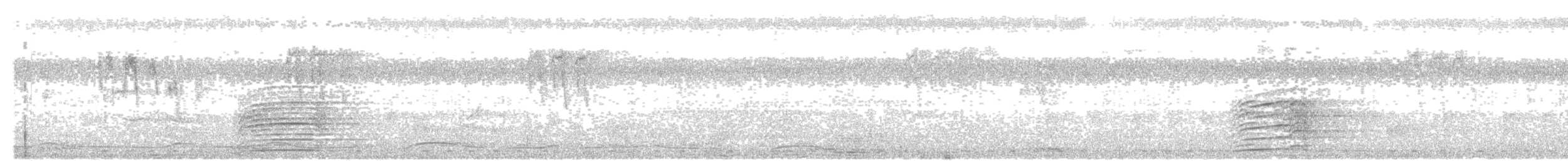 Sri Lanka Gray Hornbill - ML397102441