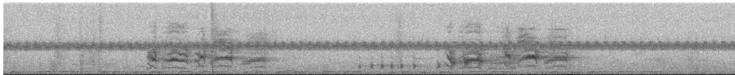 Sharp-tailed Starling - ML397126971