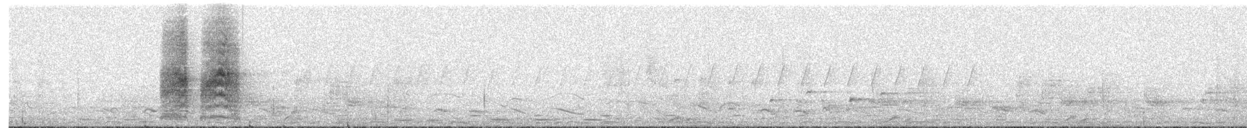 Sharp-tailed Starling - ML397130511