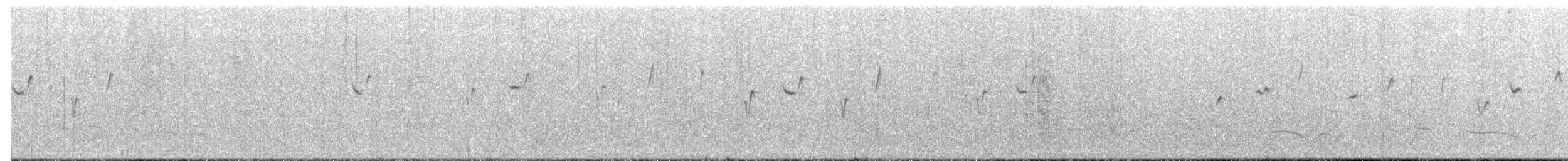 Короткокрылая цистикола - ML397130911