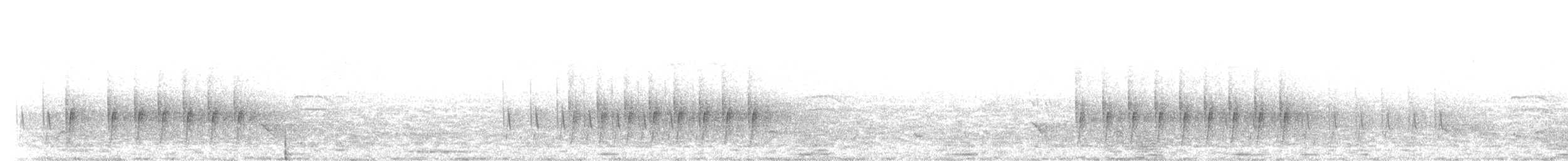 Camaroptère à tête grise (groupe brevicaudata) - ML397132761