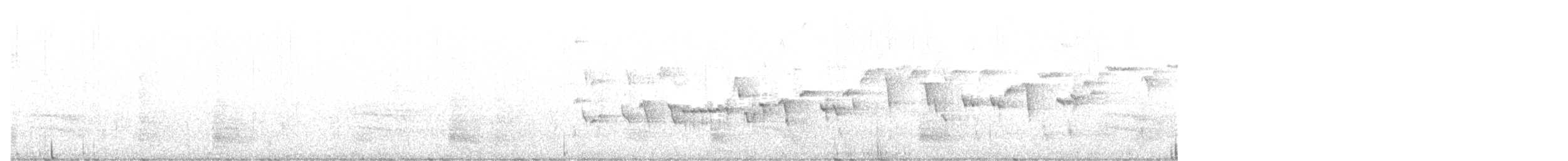 フユミソサザイ - ML397163741