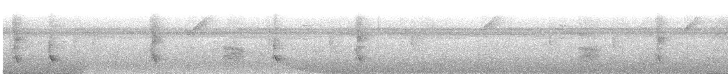 Schwarzschopf-Ameisenvogel - ML397280391