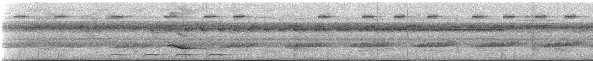 Grimpar ocellé (beauperthuysii/lineatocapilla) - ML397317561