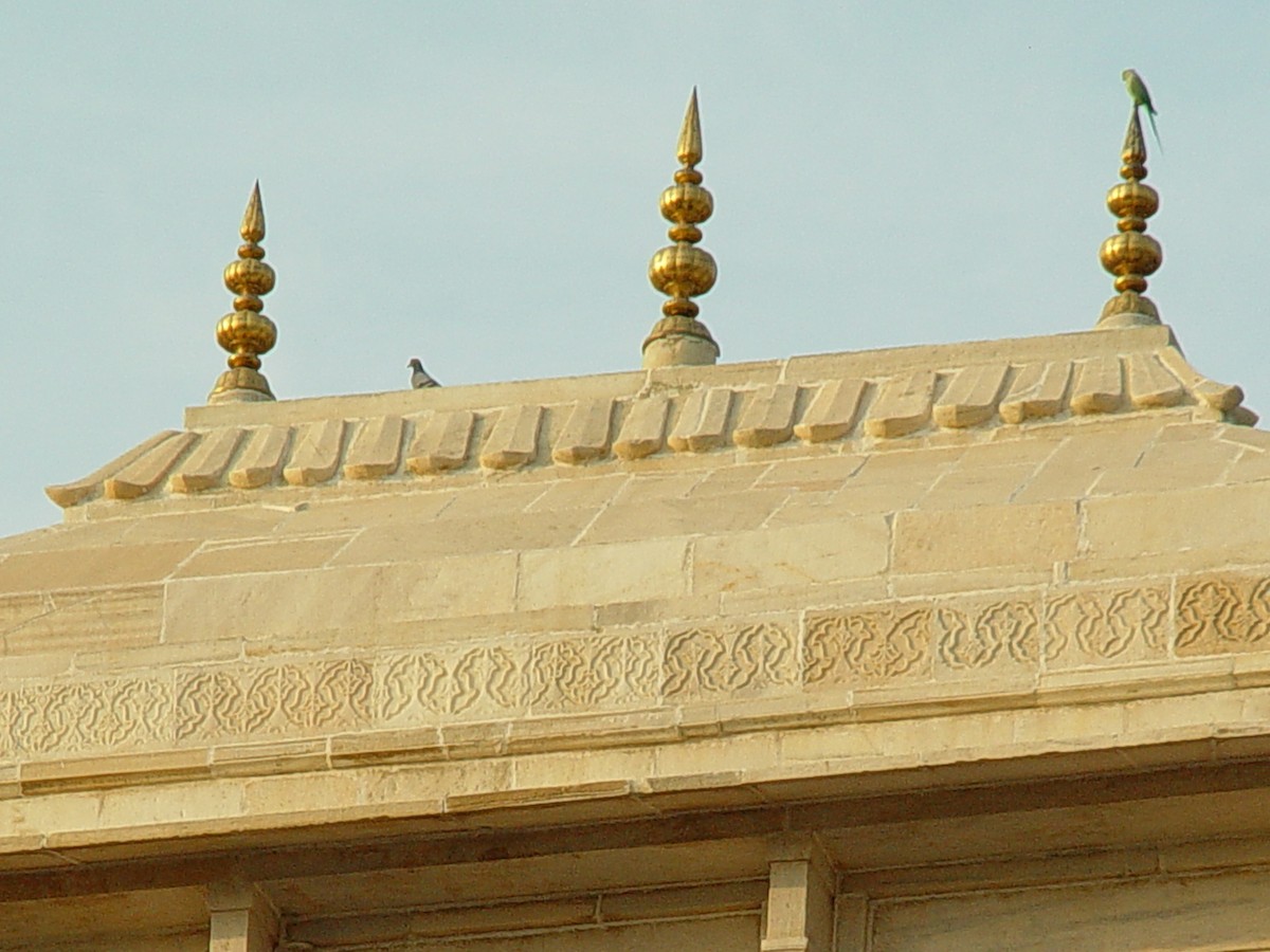 Rose-ringed Parakeet - ML397361241