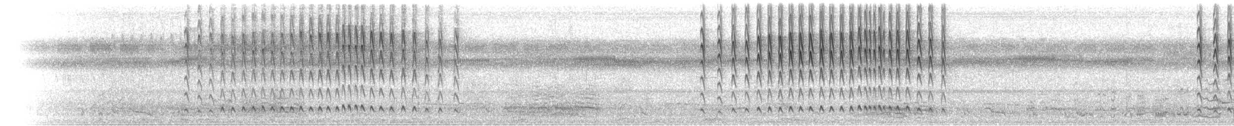 Green-tailed Goldenthroat - ML397445931