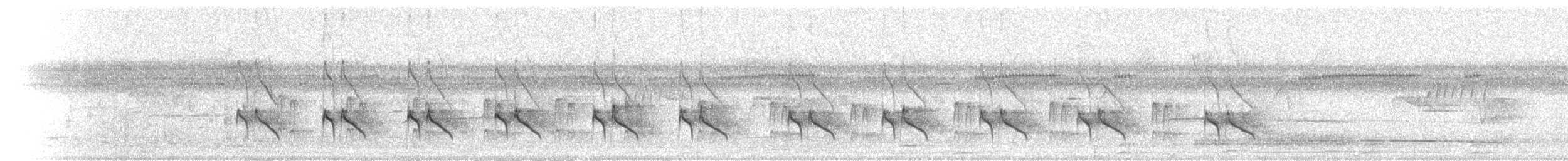 Braunscheitel-Tachurityrann - ML397531251