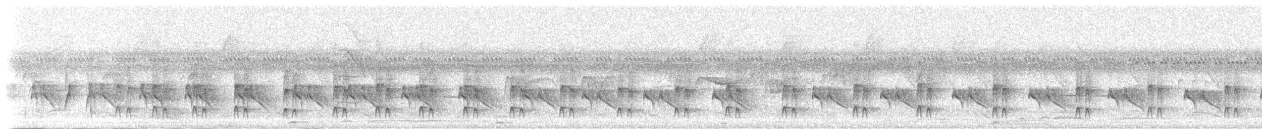 Braunscheitel-Tachurityrann - ML397531311