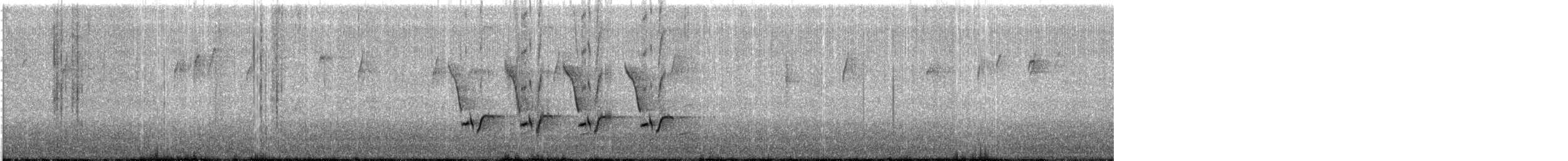 Поплітник каролінський - ML397545251