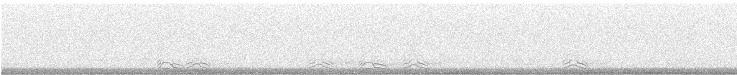 Mediterranean Gull - ML397545461