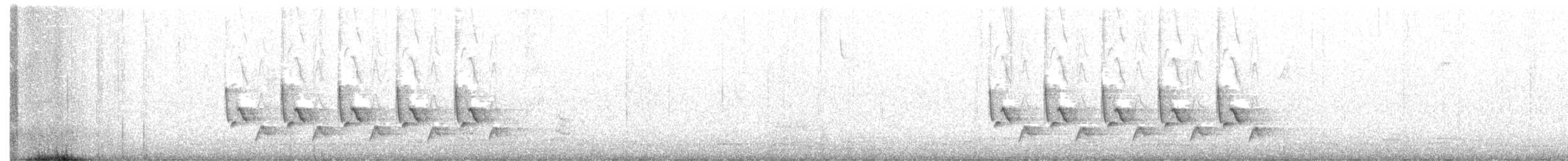 Поплітник каролінський - ML397552071