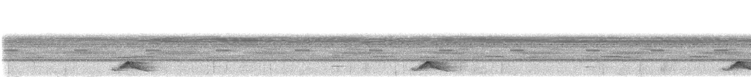 Pauraquenachtschwalbe - ML397640111