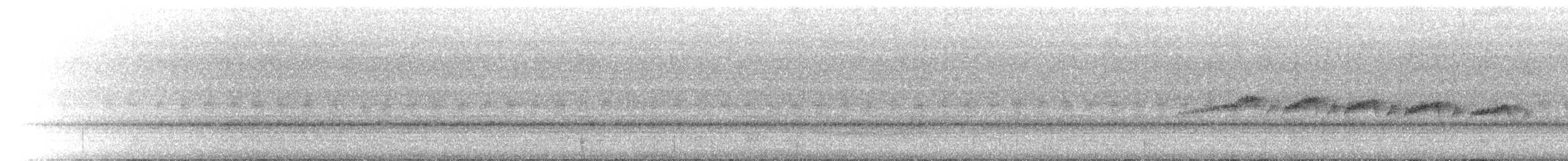 Мурав’янка-куцохвіст плямиста - ML397655651
