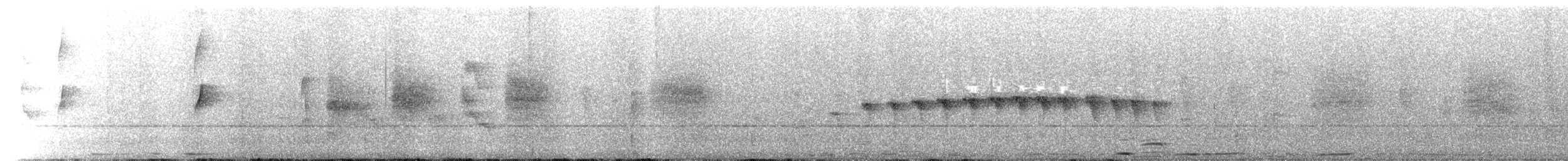 Dot-winged Antwren - ML397657891