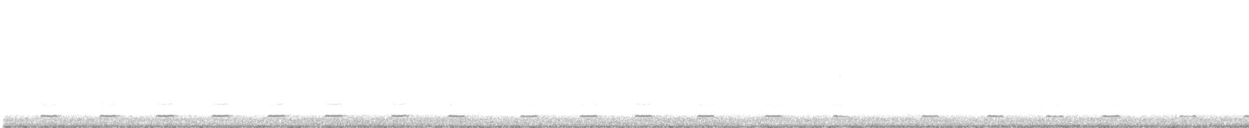 Североамериканский сыч (acadicus) - ML397691471