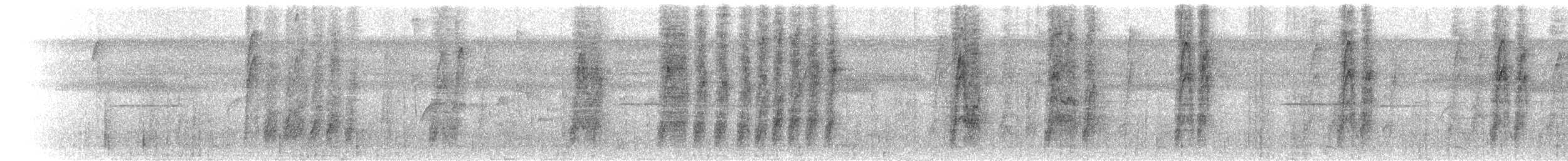 Schleiertangare - ML397710951