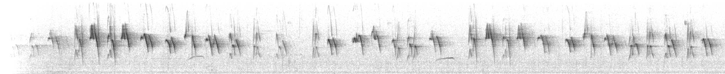 Stahlhakenschnabel - ML397731341