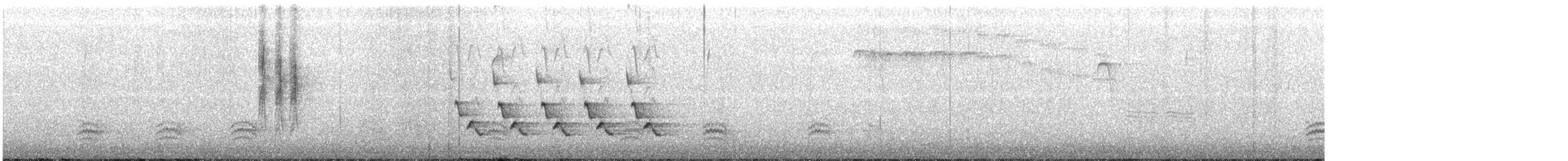 Поплітник каролінський - ML397935661