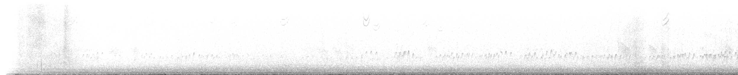 Plectrophane des neiges - ML397936291