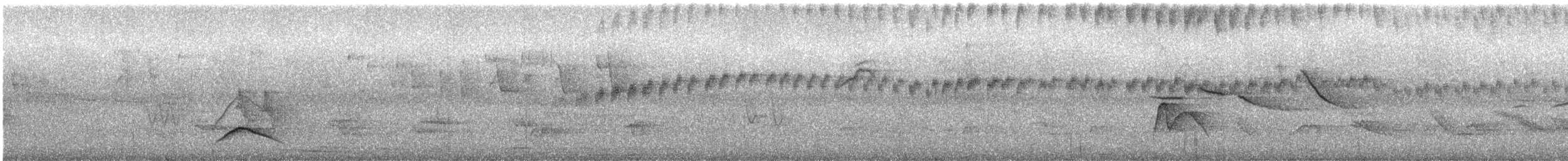 Large Elaenia - ML397994431