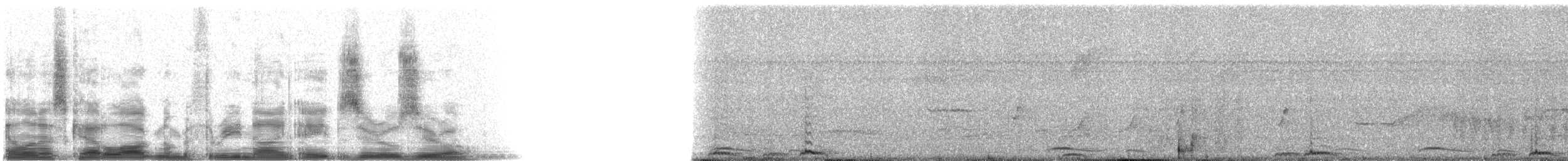 Russet-crowned Motmot - ML39800